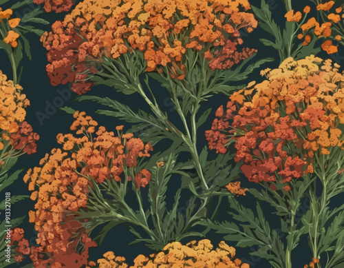 Yarrow