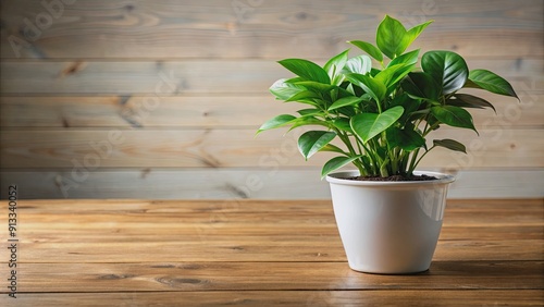 Lush green indoor houseplant in a white pot on a wooden table, foliage, leaves, plant, greenery, indoor, houseplant, potted