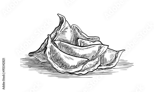 vector sketch of pierogi