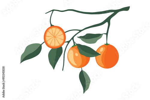 Vector Oranges branch art, with green leaves, slice, and a wedge