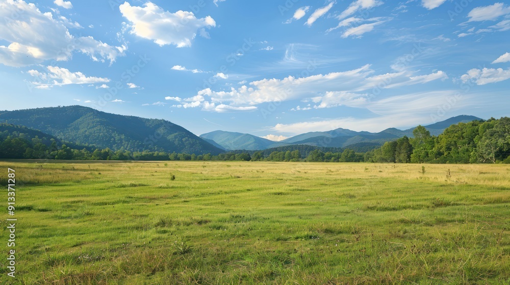 Obraz premium Expansive Green Meadow with Distant Mountains and Blue Sky