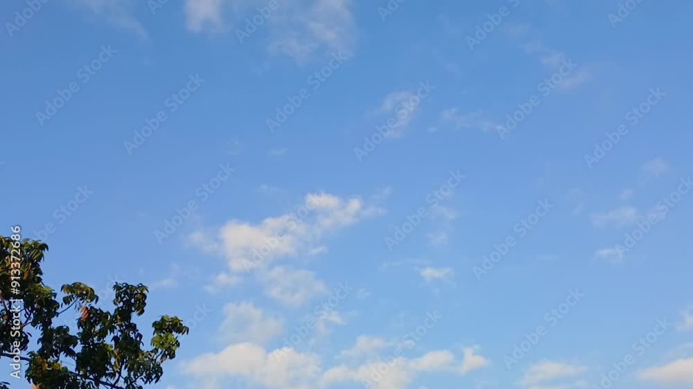 tree with blue sky and clouds background