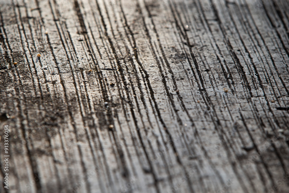 Crack on the old concrete floor. Shallow depth of field. Crack on the old concrete floor. Shallow depth of field.