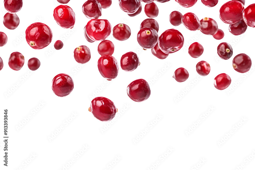 Cutout of fresh cranberries falling in mid-air on transparent background for banner, poster, backdrop designs Cutout of fresh cranberries falling in mid-air on transparent background for banner, poster, backdrop designs