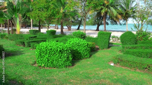 Beach in Sihanoukville. Palm trees and blue sea