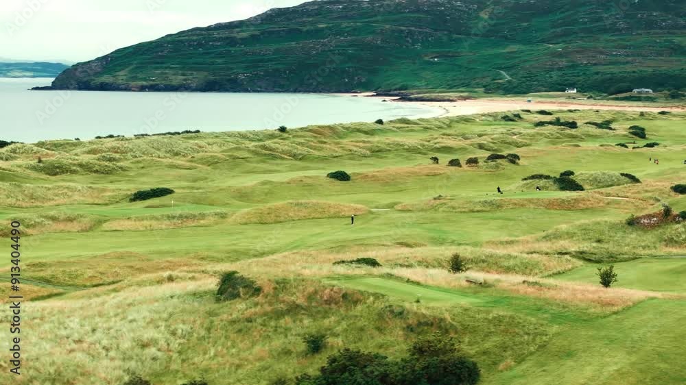 Aerial drone fly over rolling hills of coastal Irish links golf course, lush greenery and ocean backdrop, establishment shot