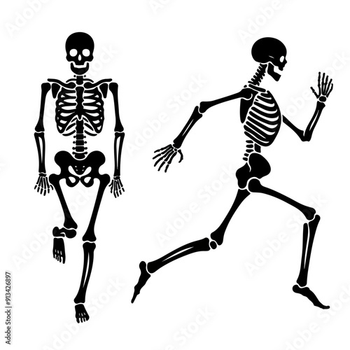 skeleton silhouette, Halloween.