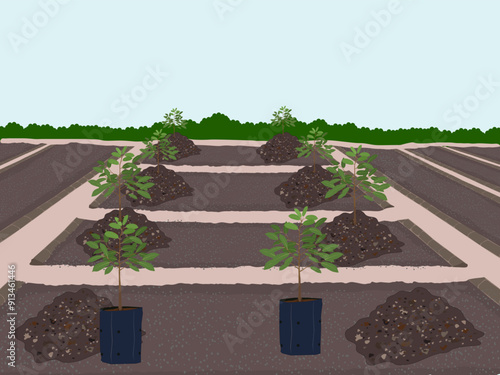 durian or durio on a white background.