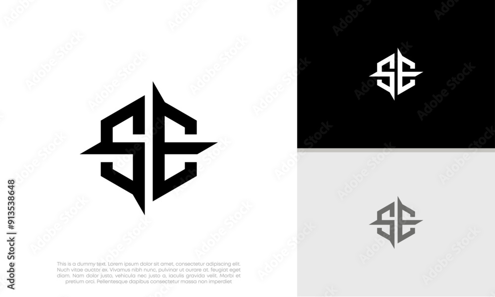 Initials SE logo design. Initial Letter Logo. Innovative high tech logo template.
Initials SE logo design. Initial Letter Logo. Innovative high tech logo template.
