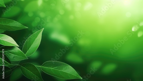 Lush Green Leaves Creating an Eco-Friendly Background With Text Space in a Sunlit Forest