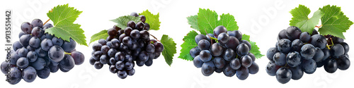 A cluster of dark purple grapes with a few green leaves, isolated on a white background