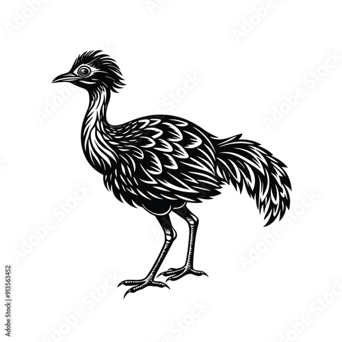 Eudocimus Bird Silhouette Vector