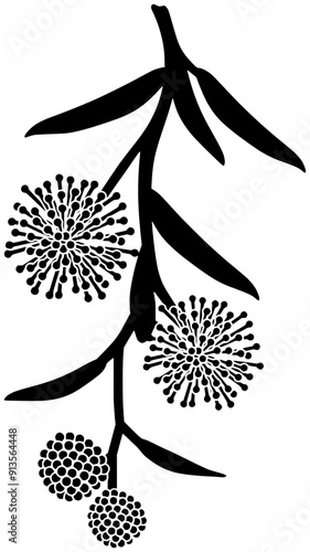 floral illustration plant silhouette australian logo flower icon branch outline leaf wattle pycnantha australia mimosa botanical golden acacia decorative shape tree tropical twig for vector graphic