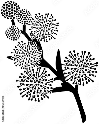 floral illustration plant silhouette australian logo flower icon branch outline leaf wattle pycnantha australia mimosa botanical golden acacia decorative shape tree tropical twig for vector graphic