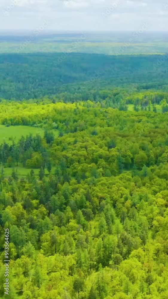 Aerial view of rural area during summer