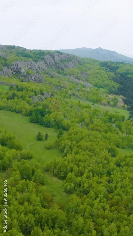 Aerial view of rural area during summer Aerial view of rural area during summer