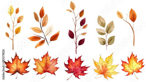 Set of watercolor autumn leaves and branches. Colorful maple and seasonal leaves. Autumnal illustration.