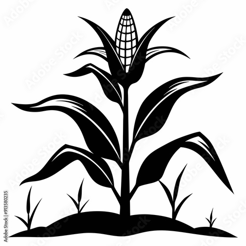 A perfect black and white   corn plant growing art vector illustration