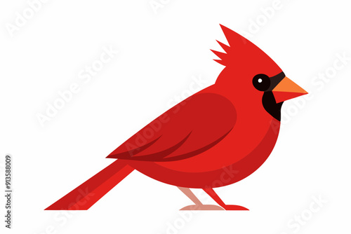 Cardinal bird  art vector