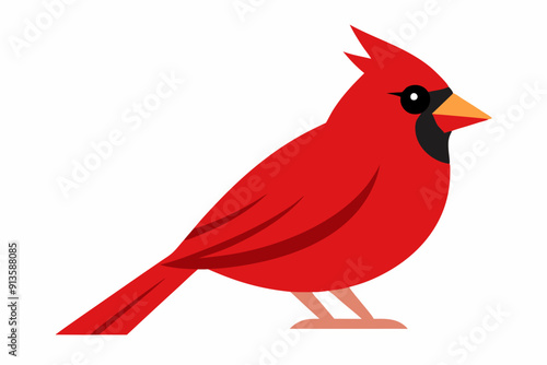 Cardinal bird  art vector