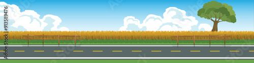 Vector or Illustrator of horizontal view of Asphalt road.  tall yellow grass of wheat fields cover the entire area. With one tree on top of grass. Under view of blue sky and white clouds.