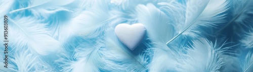 Blue and white feather textures with love  photo