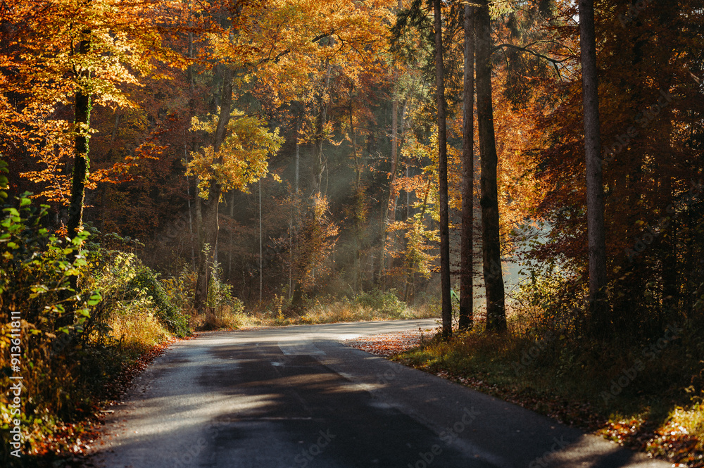 Fototapeta premium Sunlit autumn forest with a winding street and warm, golden hues