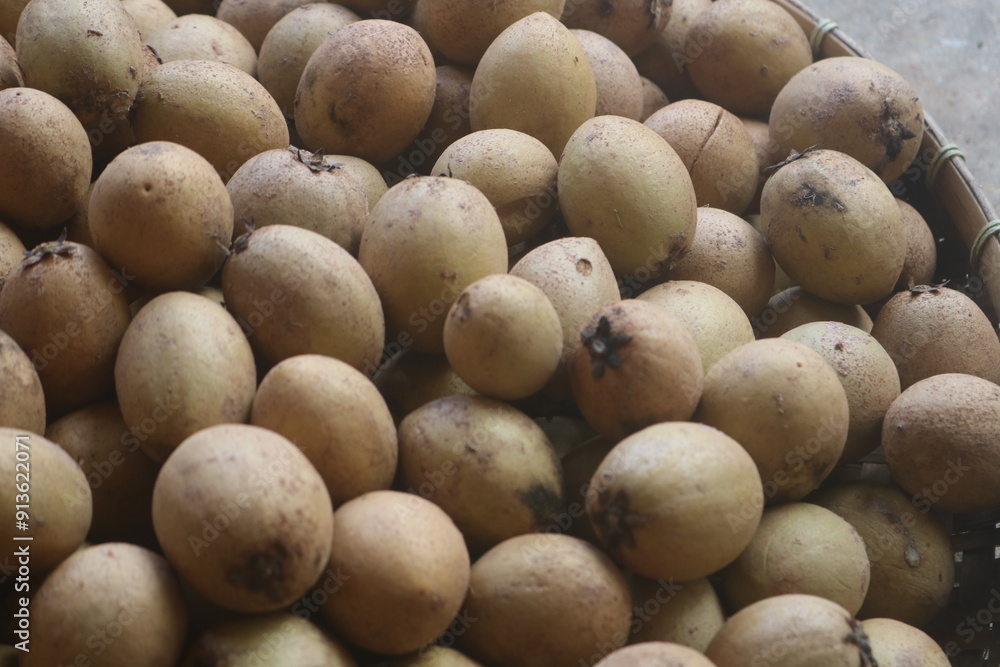 sapodilla fruit with a hand-woven bamboo background. sweet tasting fruit. sapodilla fruit with a hand-woven bamboo background. sweet tasting fruit.