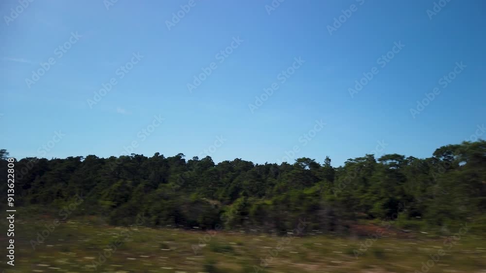 POV from road trip through bushy forest landscape at Gotland, Sweden, in summertime POV from road trip through bushy forest landscape at Gotland, Sweden, in summertime