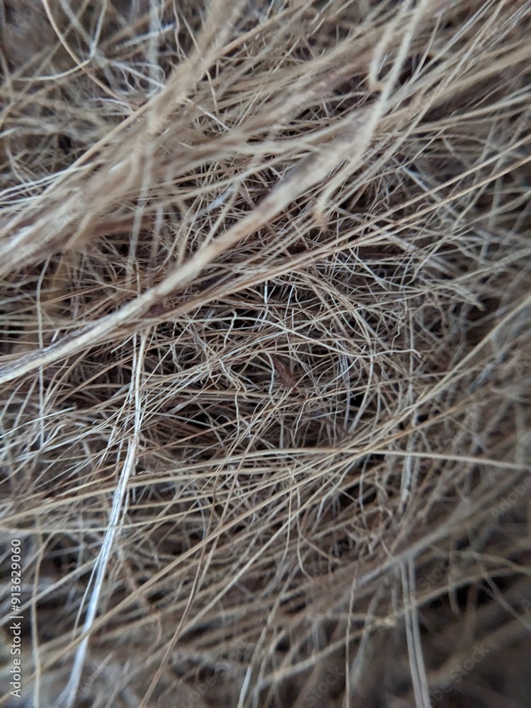 texture of hay texture of hay