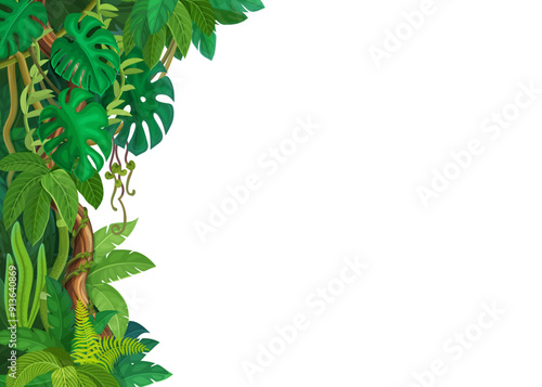 Tropical jungle forest lianas and monstera leaves background, vector corner frame. Cartoon tropical liana and ivy branches or creeper plant vines of monstera leaves on white blank background