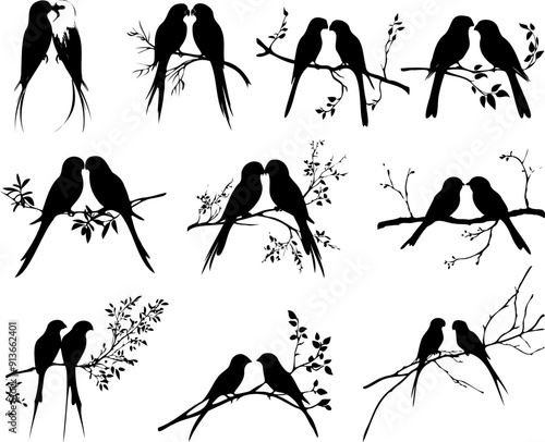 pair lovebirds on tree branch silhouette illustration