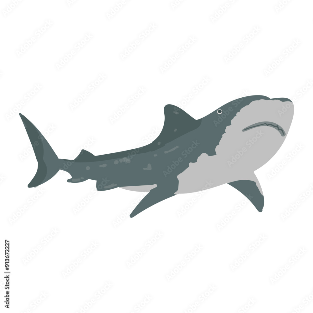 Shark Animal Ocean Illustration Shark Animal Ocean Illustration