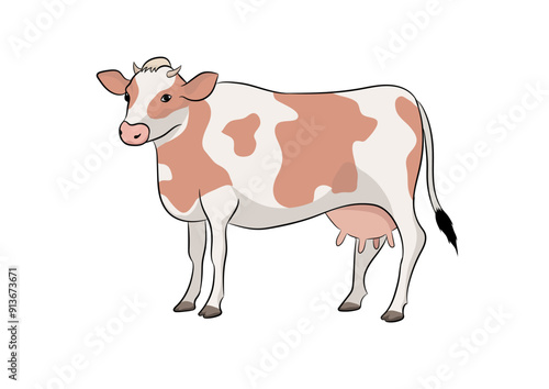 vector illustration of cow