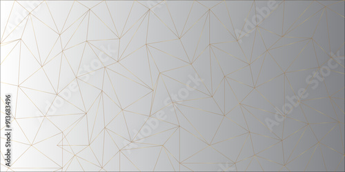 Composition based on Plexus. Use different methods of overlaying (mixing).Abstract technology background with connection lines and dots. Network connection structure's-fi network shape.