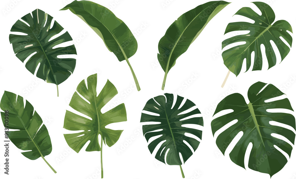 foliage in vector form using Adobe Illustrator foliage in vector form using Adobe Illustrator