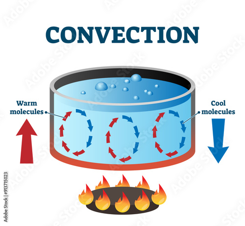 Convection currents illustration labeled diagram, transparent background. Warm and cool molecules energy movement cycle scheme. Example with a stove fire heat and water pot.
