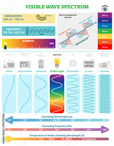Electromagnetic Waves: Visible Wave Spectrum, transparent background. Vector illustration diagram with wavelength, frequency, harmfulness and wave structure. Science educational information.