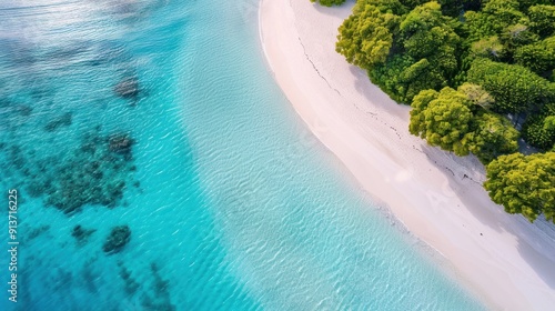 Aerial View of a Pristine Tropical Beach