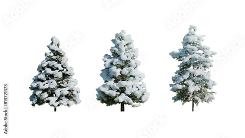 3 Snowy Christmas Trees with Transparent Background