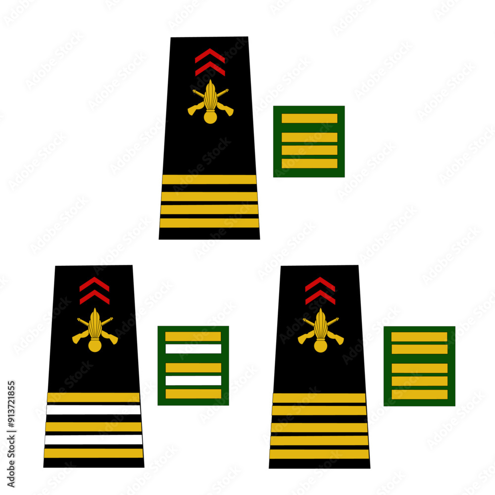 Ensemble des galons de l'armée de terre française: Officier supérieur ...