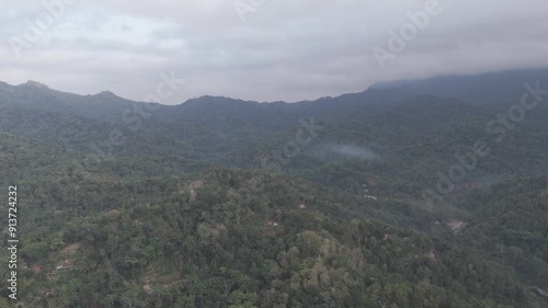 RAW FOOTAGE 4K VIDEO view of hilly forest