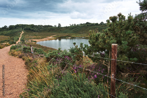 quarry in the countryside