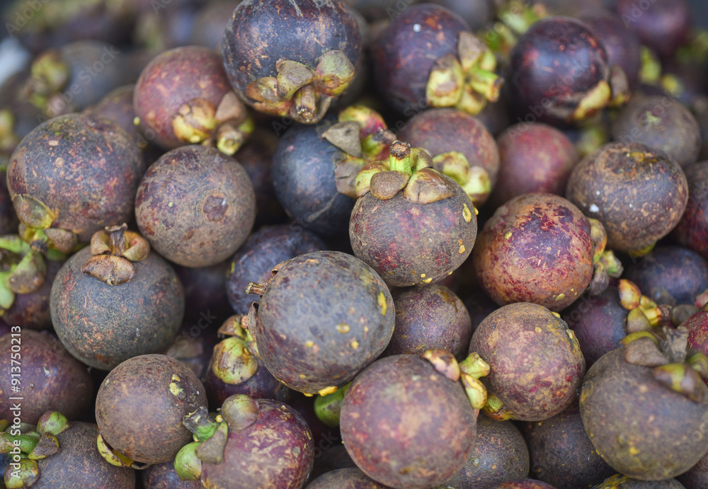 Fototapeta premium mangosteen on the market