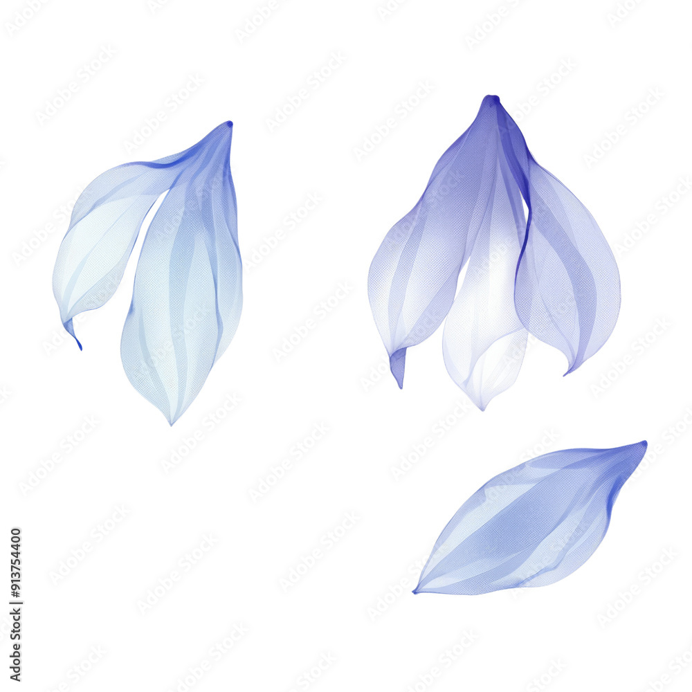 Elegant digital illustration of blue and white petals with a soft gradient effect, perfect for design element in isolated on transparent or white background Elegant digital illustration of blue and white petals with a soft gradient effect, perfect for design element in isolated on transparent or white background