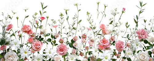 Wallpaper Mural Pink and White Flowers with Transparent Background, a Delicate Floral Arrangement with a Clean Cutout Torontodigital.ca
