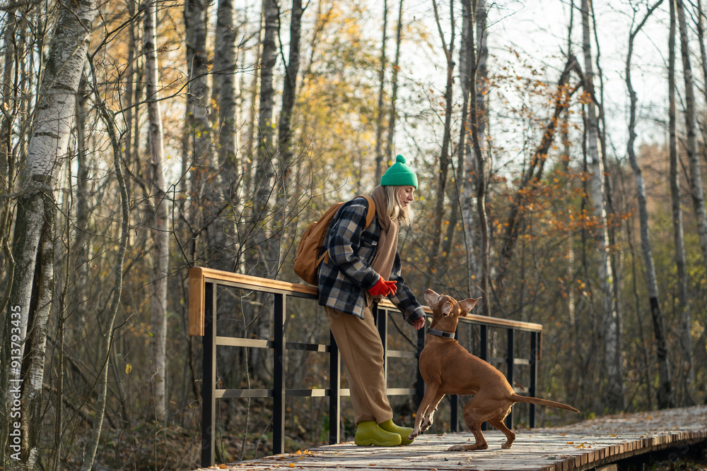 Peaceful woman traveler playing with puppy while resting by railing after long walk. Joyful female tourist backpacker with pet wandering through thicket, grove in search of new adventures, sensations. Peaceful woman traveler playing with puppy while resting by railing after long walk. Joyful female tourist backpacker with pet wandering through thicket, grove in search of new adventures, sensations.