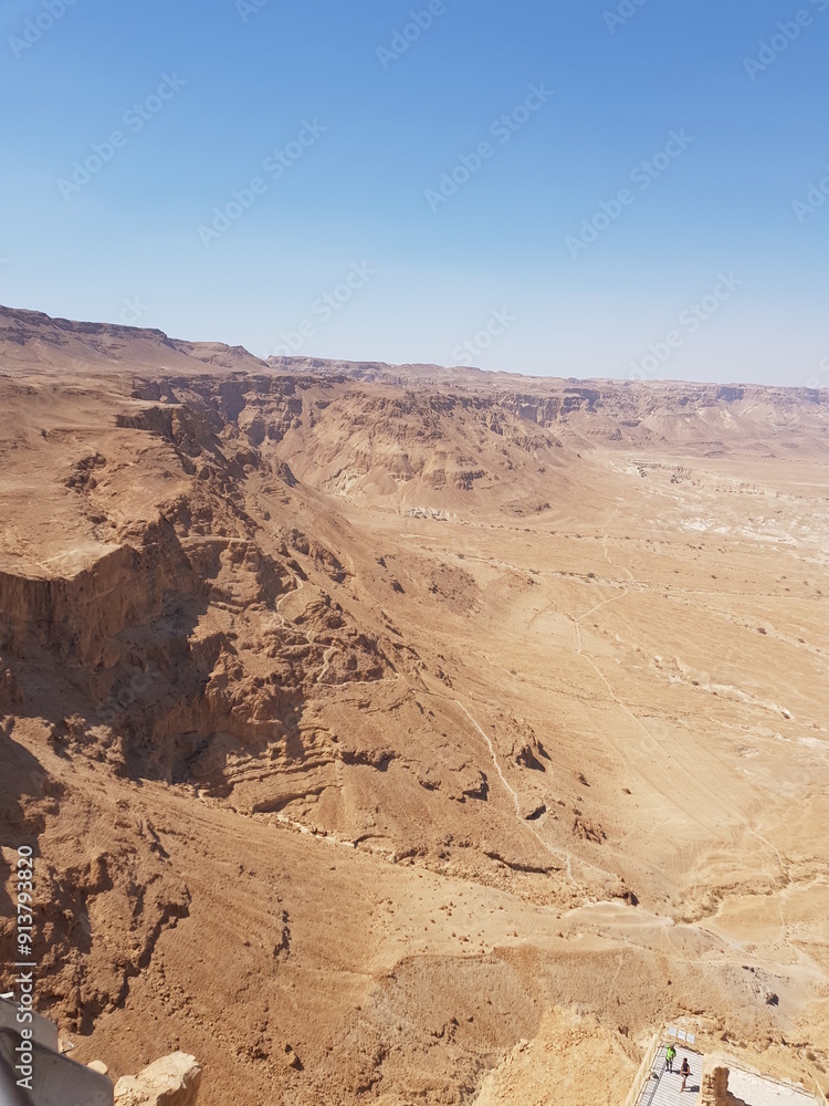 Fototapeta premium landscape in the desert