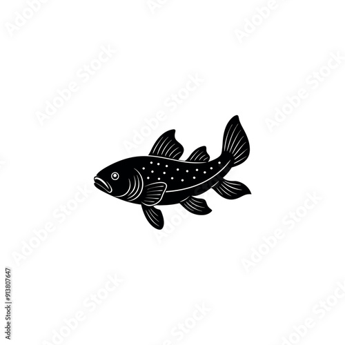 coelacanth photo