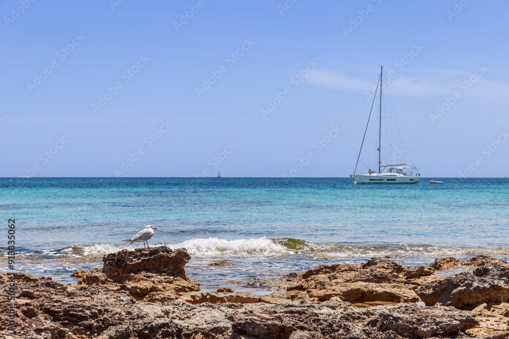 A seagull perches on rocky shores of Ibiza, with emerald, crystal-clear waters in the foreground. An out of focus sailing yacht in the distance symbolizes an adventurous vacation and freedom A seagull perches on rocky shores of Ibiza, with emerald, crystal-clear waters in the foreground. An out of focus sailing yacht in the distance symbolizes an adventurous vacation and freedom